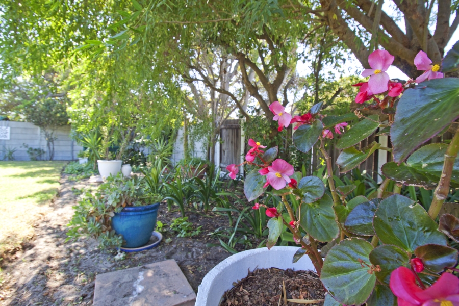 3 Bedroom Property for Sale in Milkwood Park Western Cape